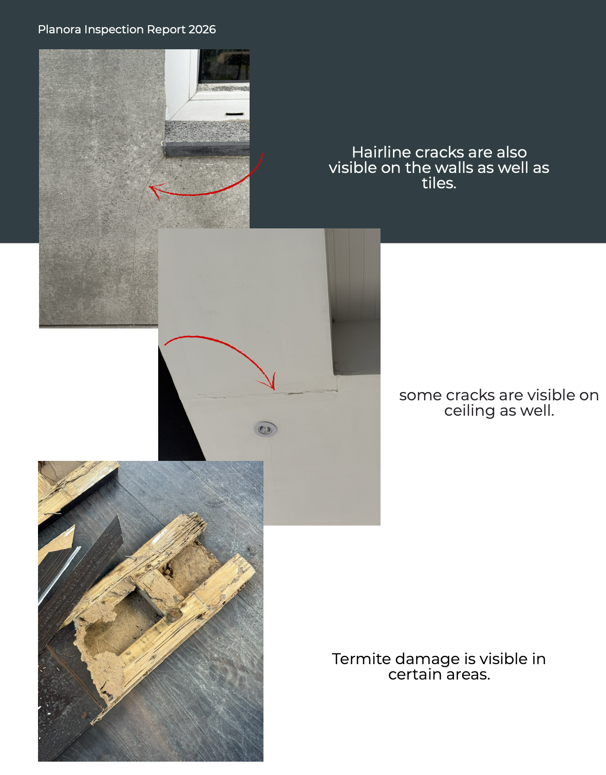 Hairline cracks and termite damage